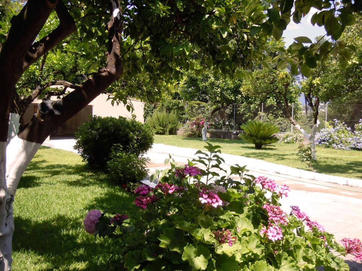 Apartment Casa Malu Boutique No 4 Gouvia