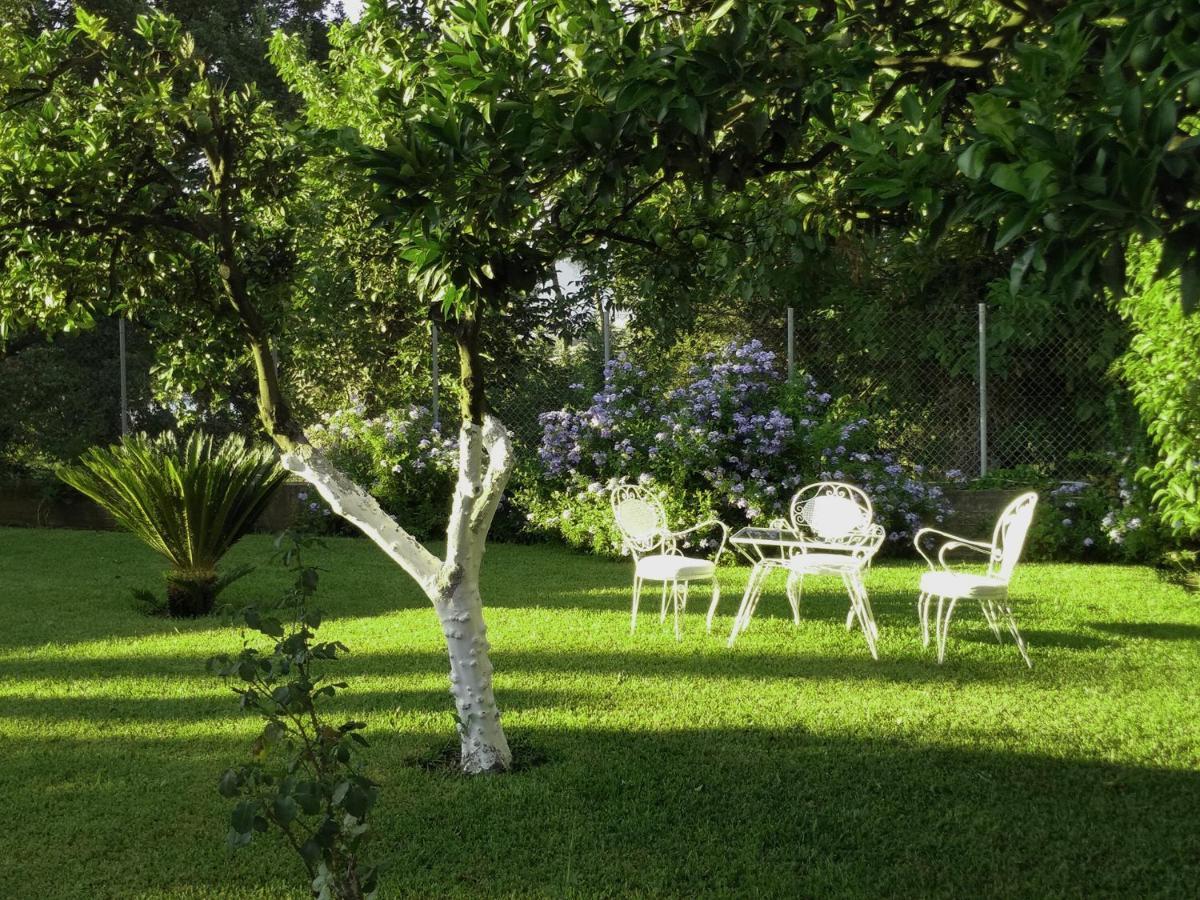 Apartment Casa Malu Boutique No 4